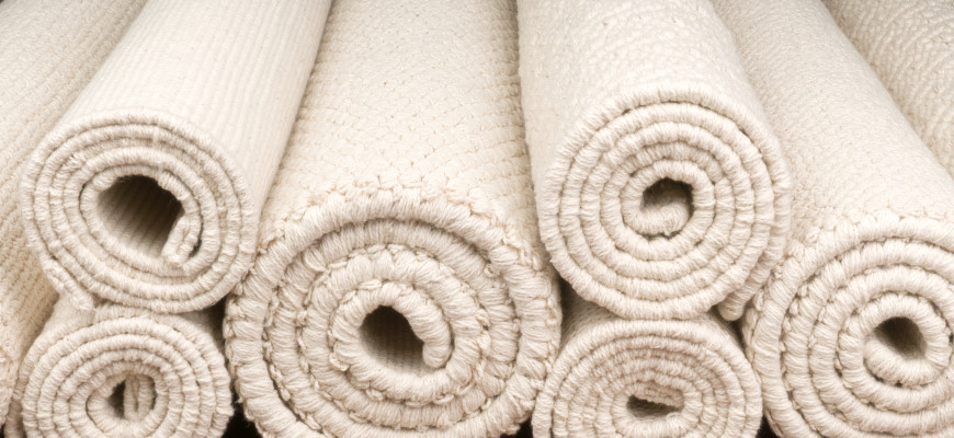 cotton organics rolls initial 8 edge-on banner 870